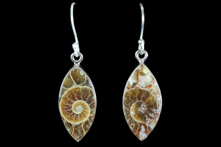 Fossil Ammonite Earrings - Sterling Silver #82255